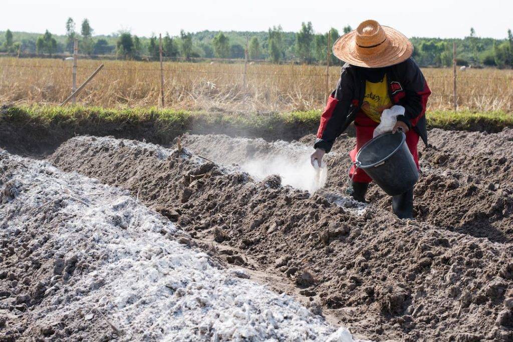 lime spreading in a field of soil